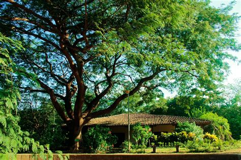 Things to do near jardin botanico atlantico. Jardín Botánico Ambiental Unan-León