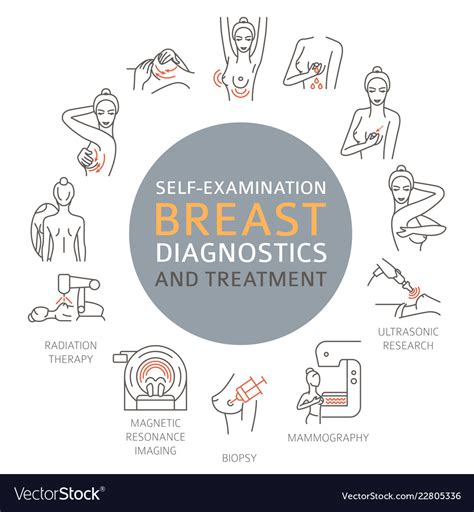 Breast Cancer Medical Infographic Diagnostics Vector Image