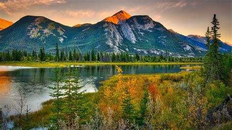 Natural Beauties Canada Landscape Rocky Mountains Pine Forest River Hd
