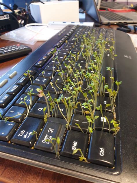 Actual Footage Of Xqcs Keyboard In 10 Years Rxqcow