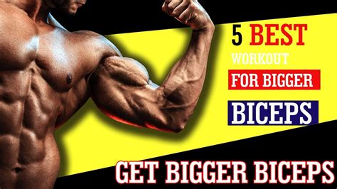 How To Get Bigger Biceps Fast Effective Biceps Workout For Beginners