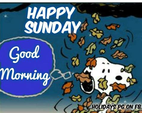 Pin By Brittany Buck On Peanuts Snoopy Love Happy Sunday Snoopy And