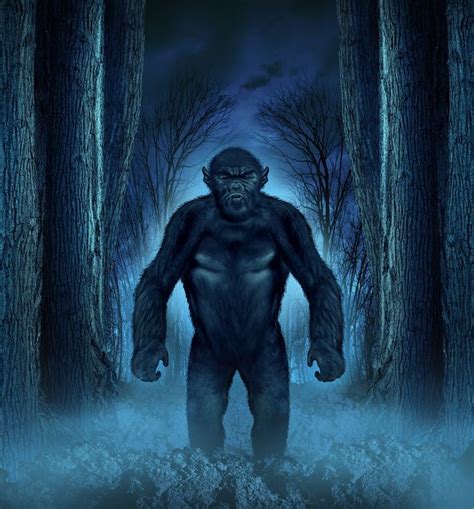 Rumor Or Reality The Creatures Of Cryptozoology Live Science