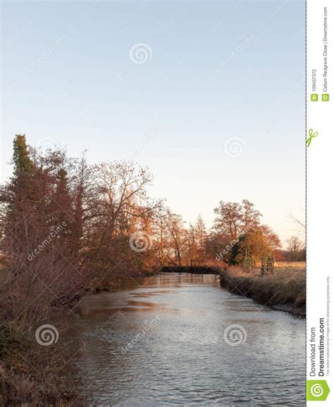 Autumn Bare Branch Trees Lining River Stream Water Nature Landscape