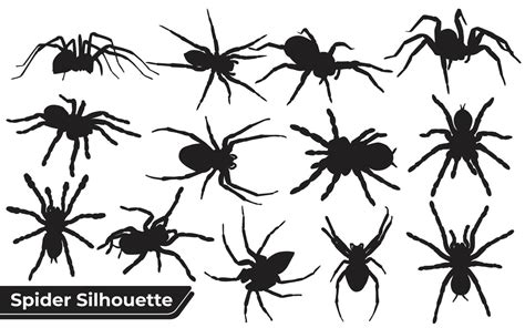 Spider Silhouette Vector Art Icons And Graphics For Free Download