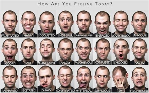 Facial Expression Emotions Gay And Sex