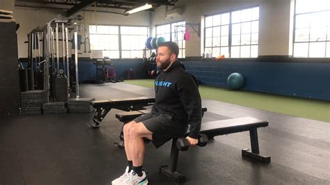 Seated Dumbbell Front Raise Youtube