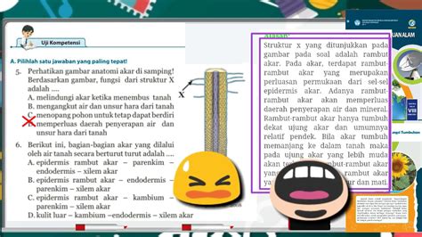 Dapatkan penjelasan bukan hanya jawaban. Uji Kompetensi Bab 3 Ipa Kelas 8 - Guru Ilmu Sosial