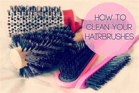 3 To 4 Months Is The Maximum Time You Should Go Without Replacing Your Hairbrush Beckley Boutique