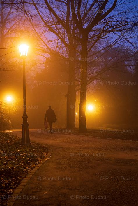 Foggy Park Alley At Night Stock Images Luxembourg