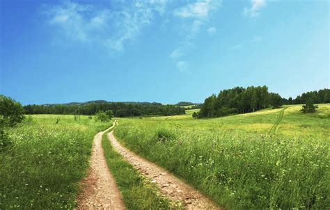 Wallpaper Road Field The Sky Grass Clouds Trees Grass Road Sky