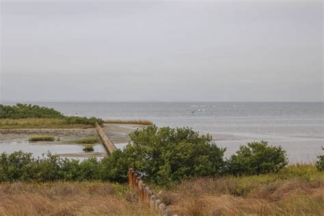 We did not find results for: 23 Awesome Things to do in South Padre Island, Texas ...
