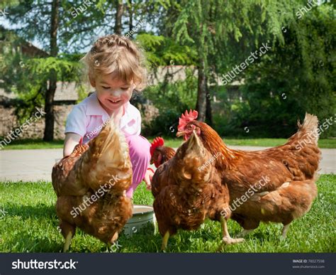 Girl Feeding Chickens Stock Photo 78027598 Shutterstock