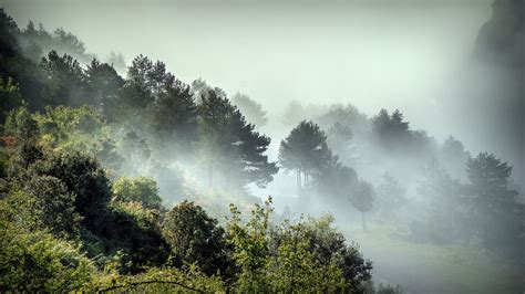 Fog Landscape Nature Free Photo On Pixabay