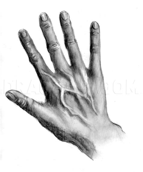How To Draw Realistic Hands Draw Hands Step By Step Drawing Guide