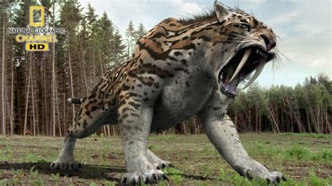 National Geographic Documentary Prehistoric Predators Wildlife