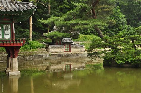 An Afternoon In Changdeokgungs Secret Garden Seoul South Korea