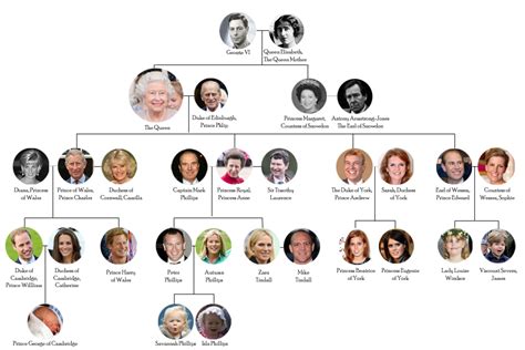 Royal family trees royal family trees. The Royal Records: The British Monarchy, The House of Windsor