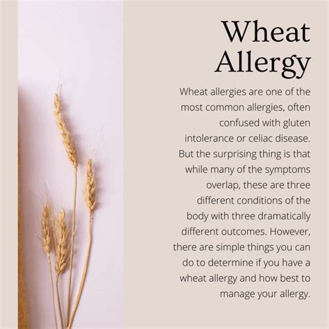 Wheat Allergy What To Eat And What To Avoid Living Beyond Allergies