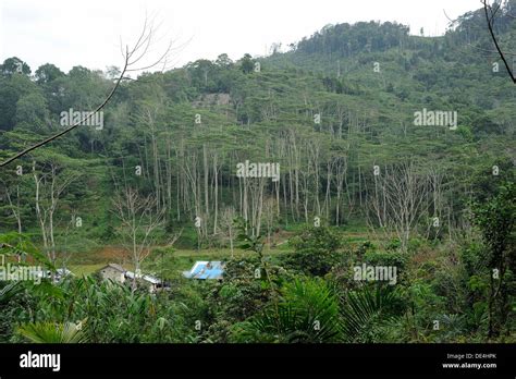 Singkawang West Kalimantan Indonesia Stock Photo Alamy