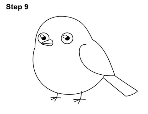 How To Draw A Chickadee Bird Cartoon