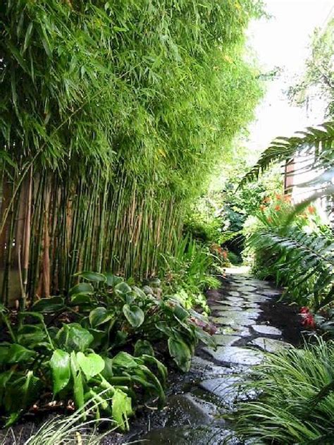 Bamboo is another great choice, as it is known for green, strong, lightweight and incredibly renewable feature. Cool Summer Backyard Ideas that Will Enliven Your Family ...