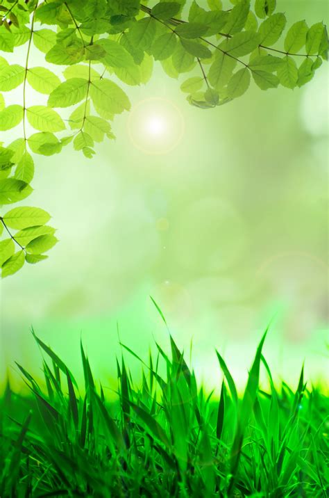 Natural Green Background Free Stock Photo Public Domain Pictures
