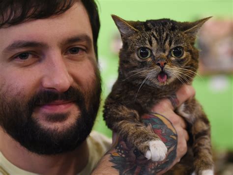 internet cat sensation lil bub has died at the age of 8 fox40