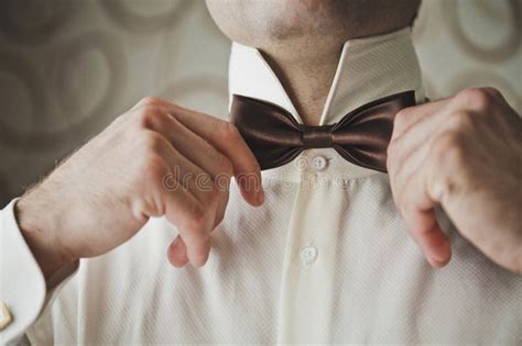 A Man Tying A Bow Tie 5250 Stock Image Image Of Fashion Groom