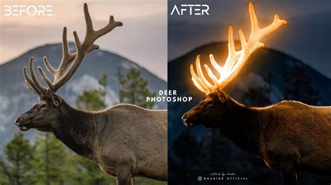 Glowing Deer Photoshop Effect Youtube