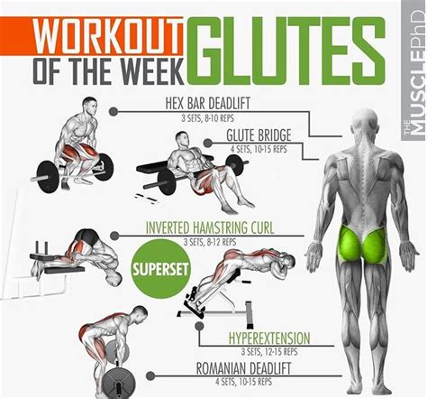 💪activate The Glutes While Training Fitness