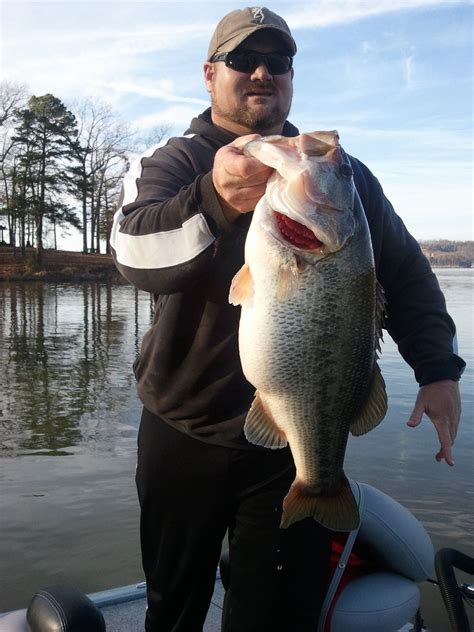Did Upstate Ny Angler Catch And Release A State Record Largemouth Bass