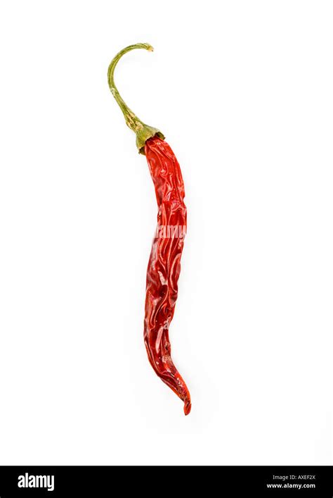Single Red Sun Dried Chilli Pepper Stock Photo Alamy