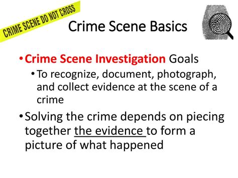 Crime Scene Basics Worksheet Escolagersonalvesgui