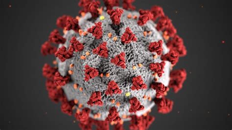 Covidtracker est un outil permettant de suivre l'évolution de l'épidémie à coronavirus en france et dans le monde. CARTE Coronavirus - Où se trouvent les 157 cas positifs au ...