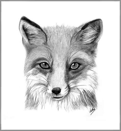 Fox Drawing By Jofox2108 Fox Drawing Drawings Fox