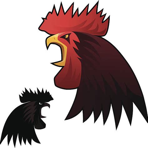 Best Angry Rooster Illustrations Royalty Free Vector Graphics And Clip Art Istock