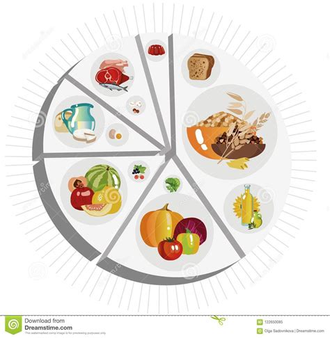 Food Pyramid Of Pie Chart Stock Vector Illustration Of Dessert 122650085
