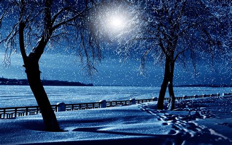 Snowy Winter Night Hd Wallpaper Background Image 2560x1600 Id