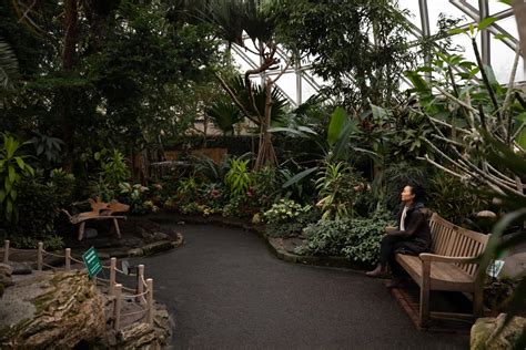 Vancouvers Tropical Paradise At The Bloedel Conservatory Turns 50