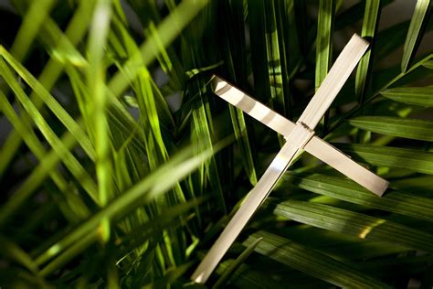 5 Palm Sunday Devotions For Your 2023 Holy Week Guideposts