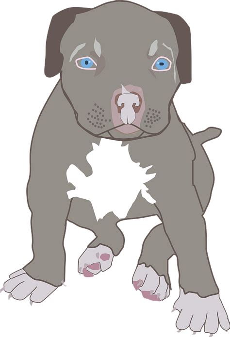 Pit Bull Puppy Clipart Free Download Transparent Png Creazilla