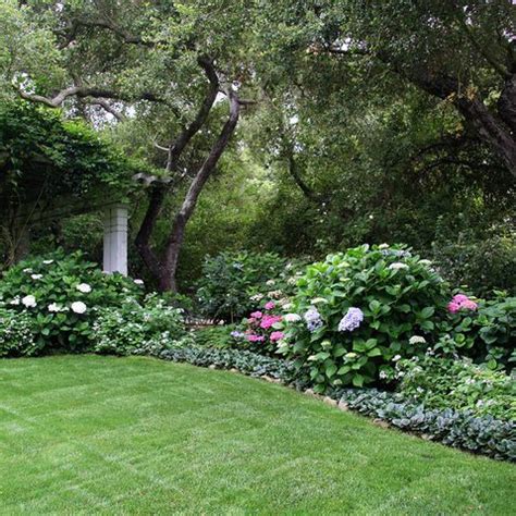 In my zone 7b garden, i can over winter them with no problem. Zone 5 Perennials Design Ideas | Gardens | Pinterest