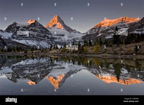 Mount Assiniboine With Alpenglow Reflected In A Tarn Mount Assiniboine