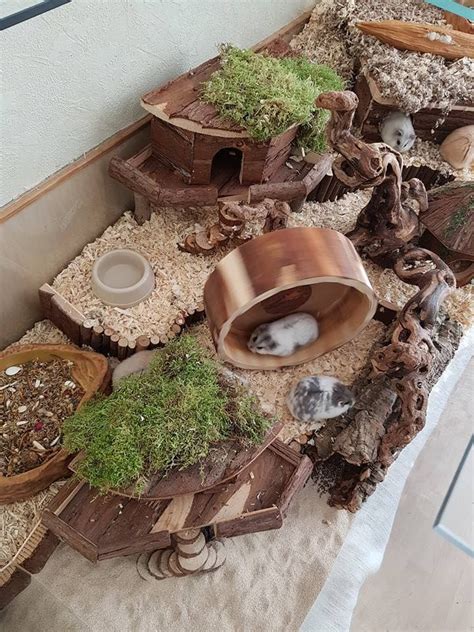 A Table Topped With Lots Of Different Types Of Plants And Bowls On Top