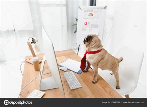 Business Dog With Desktop Computer — Stock Photo © Vitalikradko 173482888