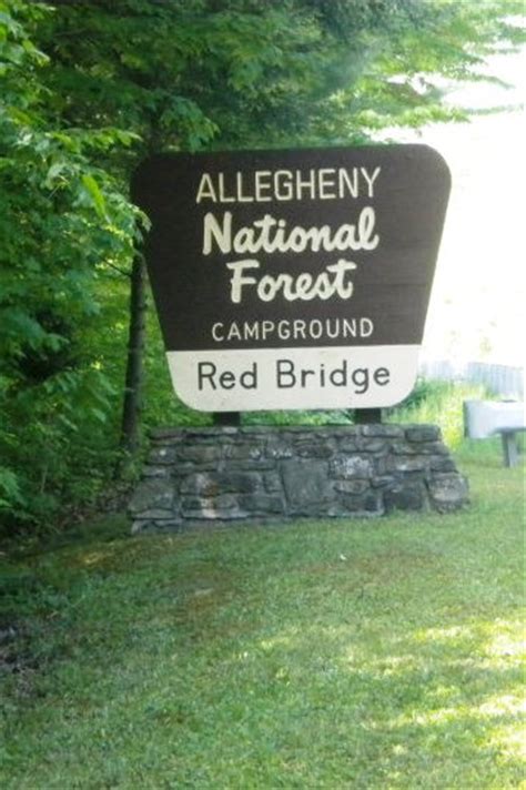 Red Bridge Campground Allegheny National Forest Mckean County