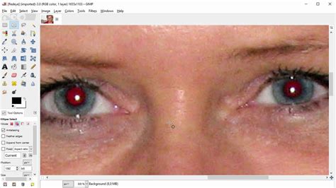 ¿cómo Eliminar Los Ojos Rojos En Una Foto Con Gimp Tecnobits ️