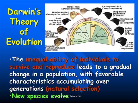 Evolution Presentation Biology