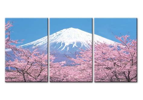 Mount Fuji Cherry Blossom